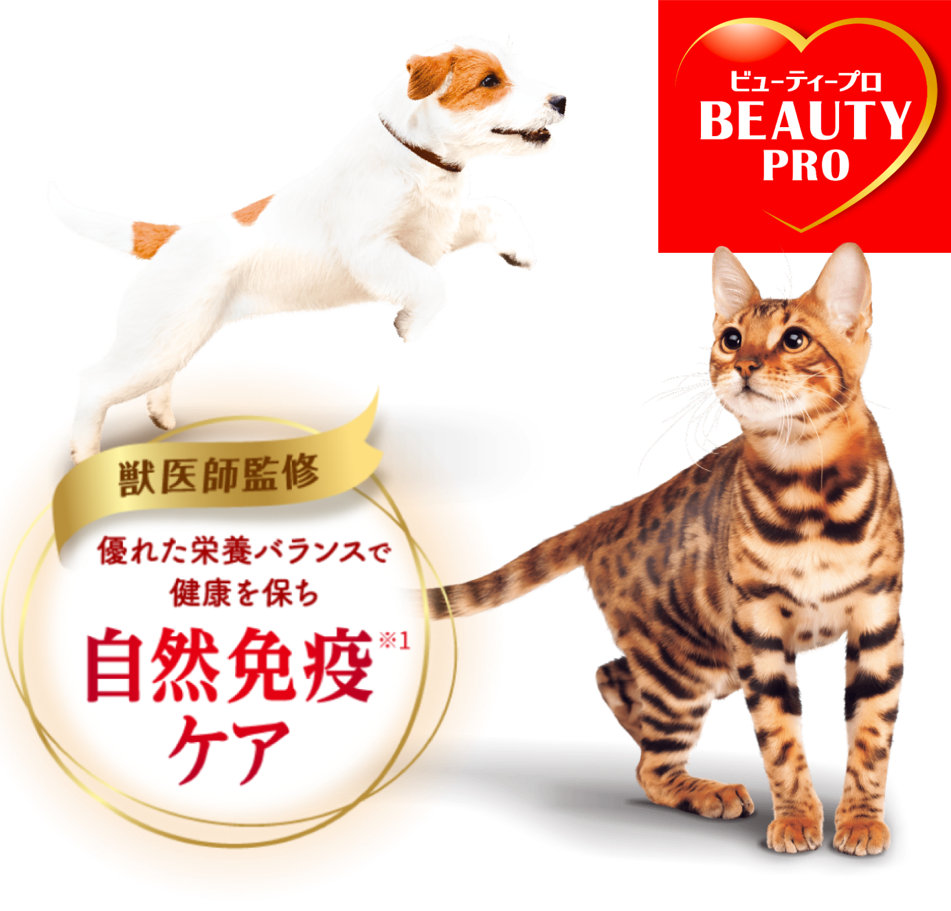 ビューティープロ