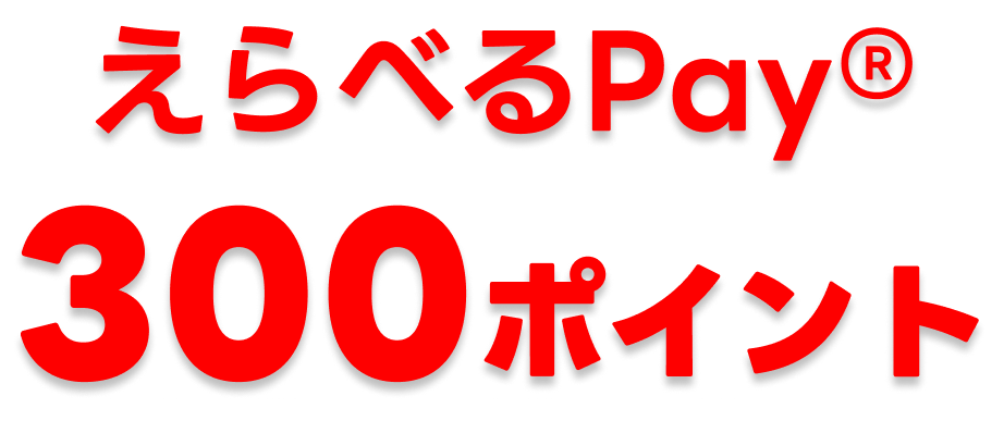 賞品紹介：えらべるPAY300ポイント